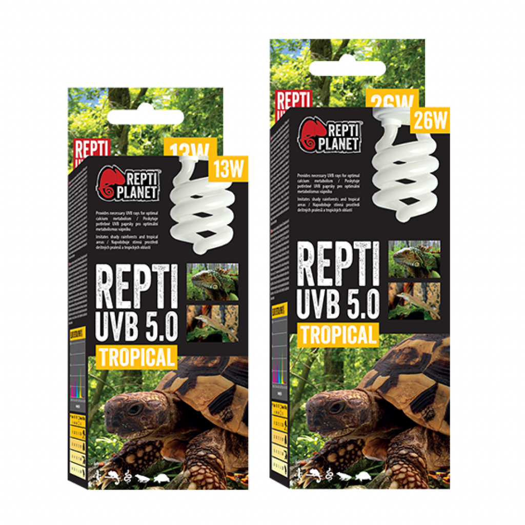 Repti UVB 5.0 Tropical Leuchte